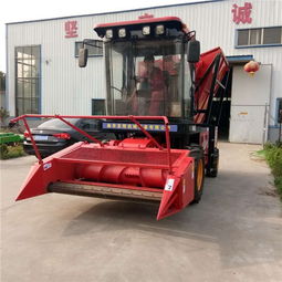 自走式青儲機 現代農業的高效秸稈收割與青貯解決方案